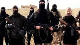 Vídeo: Motivos de EEUU para crear Daesh