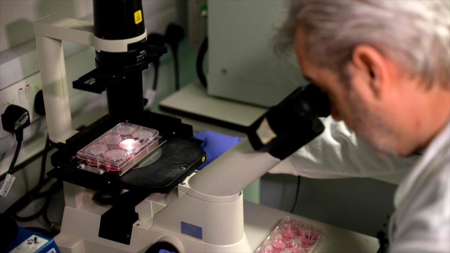 OMS: Demorará 18 meses preparar vacuna contra coronavirus | HISPANTV