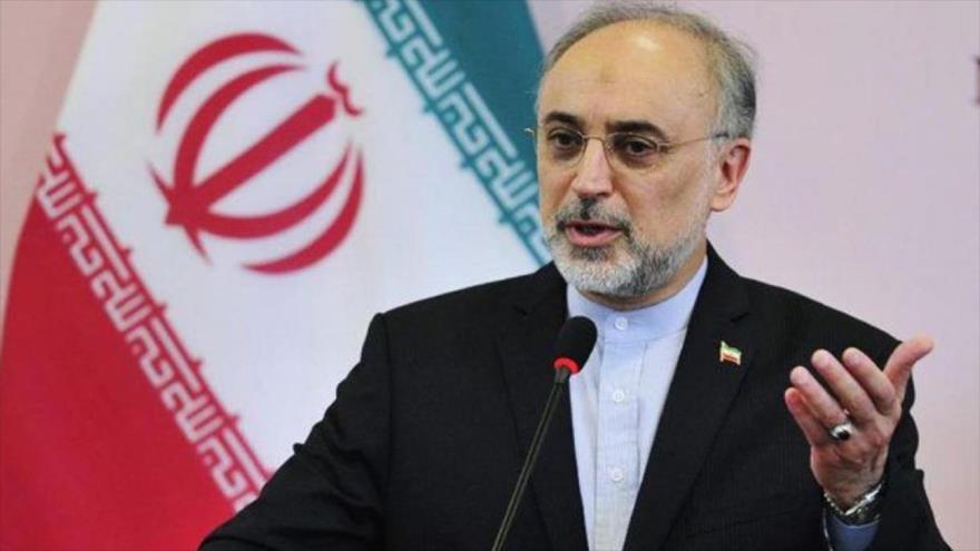 El Jefe de la Organización de Energía Atómica de Irán (OEAI), Ali Akbar Salehi, ofrece una rueda de prensa.