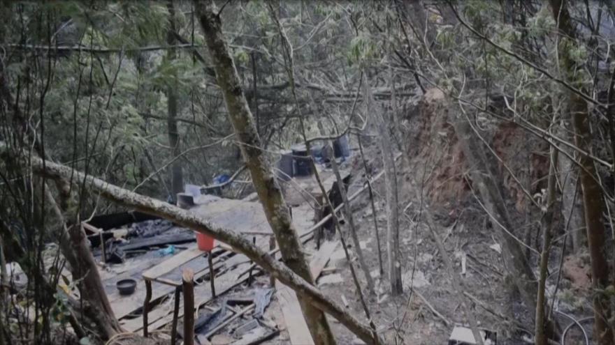Vídeo: Hallan complejo cocalero en finca de embajador de Colombia