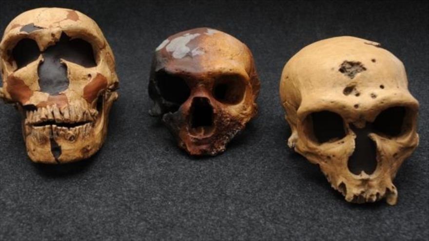 Según un estudio, los científicos plantean los antepasados de los africanos se aparearon con una especie arcaica que dejó su huella en el genoma actual.