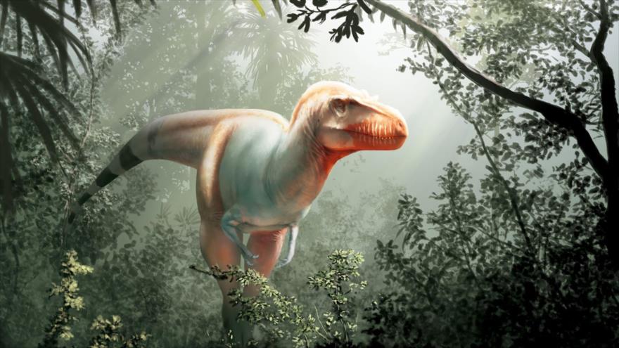 Científicos hallan 5 nuevas especies de dinosaurios en último año | HISPANTV