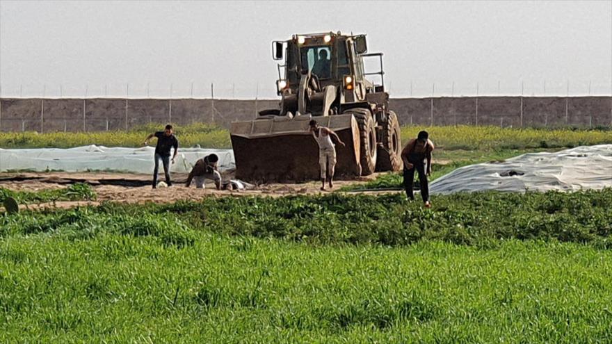Vídeo: Israel mata a un palestino y deshonra su cuerpo en Gaza