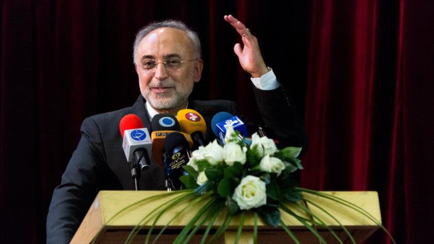 El jefe de la Organización de Energía Atómica de Irán (OEAI), Ali Akbar Salehi, durante un acto en Teherán, la capital. (Foto: Mehr News)