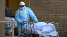 Creciente número de muertos abruma las morgues de Nueva York