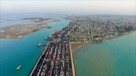 Irán: La palmera datilera en Bushehr; región de Abpakhsh