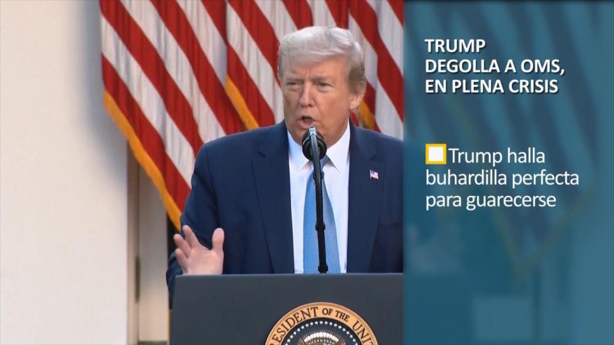 PoliMedios: Trump degolla a la OMS en plena crisis
