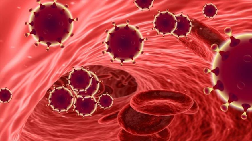 El coronavirus en la sangre.