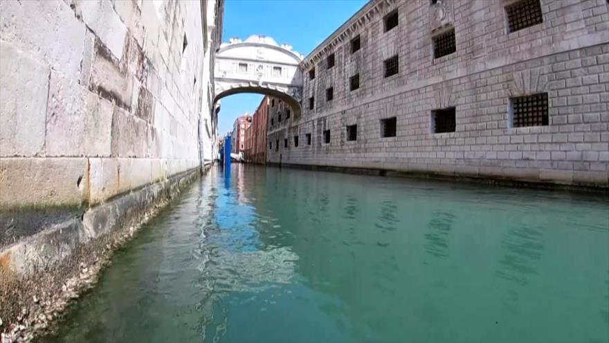 COVID-19 permite apreciar ecosistema acuático de Venecia