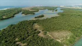 Irán: 1- Bushehr, Nakhiloo y Omolgorm 2- Atracciones de Sarab