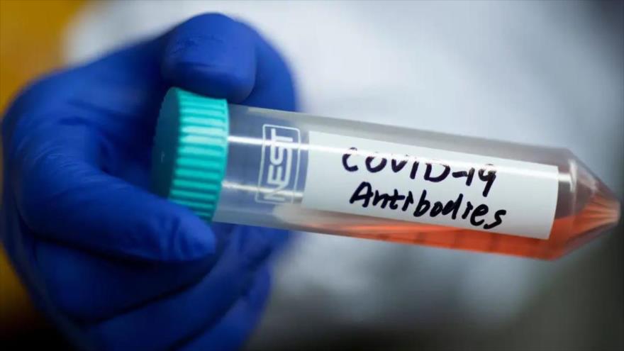 Descubren anticuerpos que bloquean el coronavirus en las células | HISPANTV