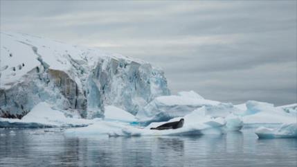 Imágenes impactantes: La Antártida se derrite por calentamiento global