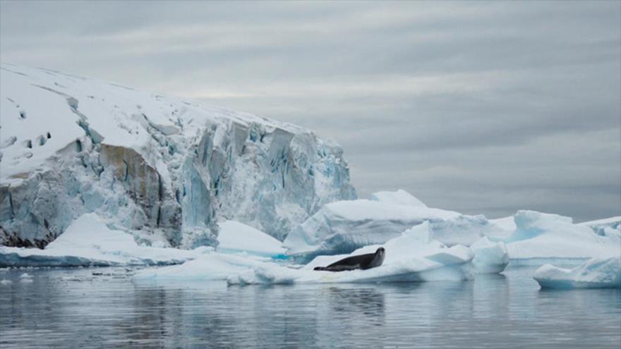 Imágenes impactantes: La Antártida se derrite por calentamiento global | HISPANTV