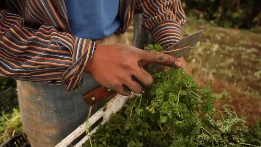 Trabajadores panameños plantean cambios para reactivar economía
