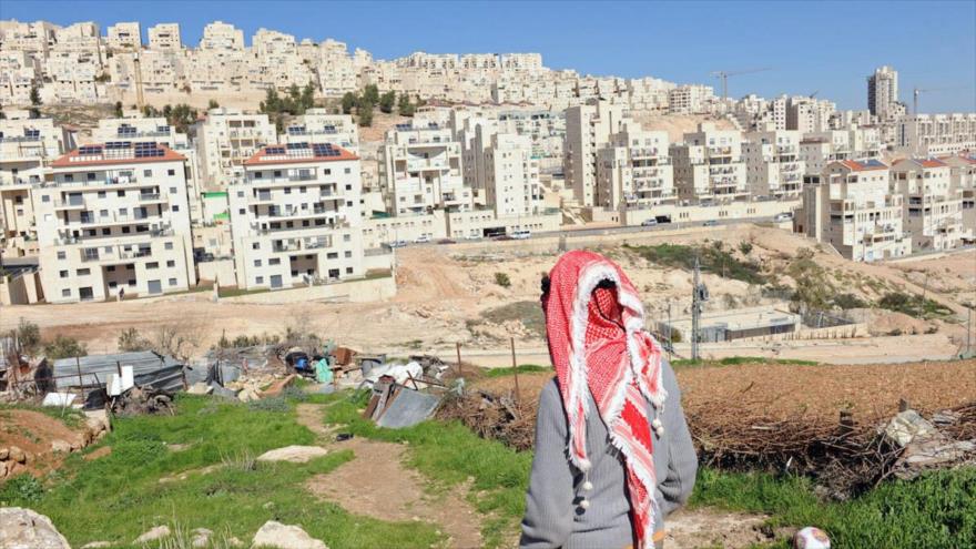 Un palestino está en su propiedad con vistas a un asentamiento israelí en la Cisjordania, 18 de febrero de 2011.
