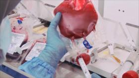 Irán: 1. El Instituto Royan, 2. Jorramshahr y Abadan, 3. Jardín Botánico, 4. Alfarería