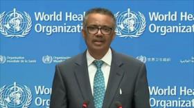 La OMS intenta coordinar una respuesta a la pandemia
