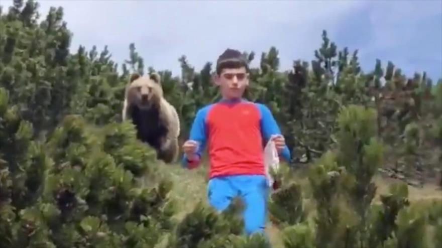 Video: Un niño se topa con un oso y reacciona como un profesional