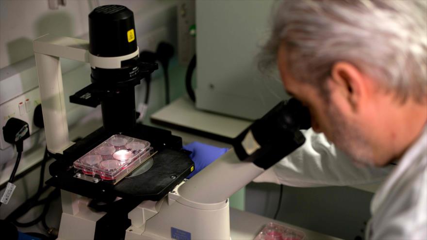 Un médico trabaja en una vacuna para COVID-19, en un laboratorio de investigación en Londres (capital británica), 10 de febrero de 2020. (Foto: AFP)