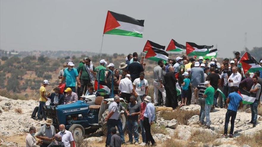 Un grupo de palestinos izando su bandera nacional en los territorios ocupados de Cisjordania.