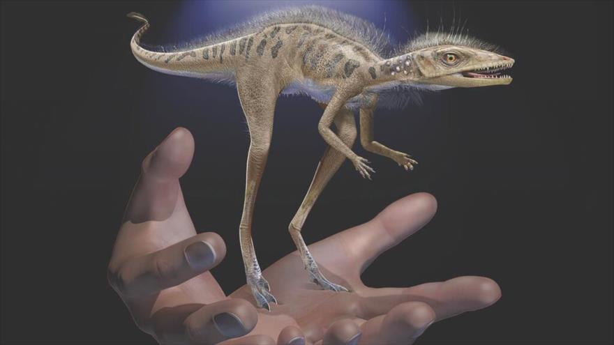 Científicos descubren un ancestro de los dinosaurios de solo 10 centímetros de alto.