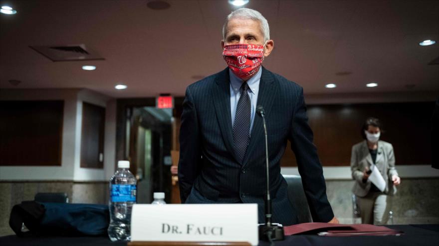 Anthony Fauci, director del Instituto Nacional de Alergias y Enfermedades Infecciosas de EE.UU. en una reunión en Washington, 30 de junio de 2020. (Foto: AFP)