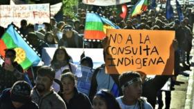 Protestan en Chile contra el Gobierno por los presos mapuches 
