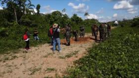 Perú niega reporte de EEUU que señala aumento de producción de coca