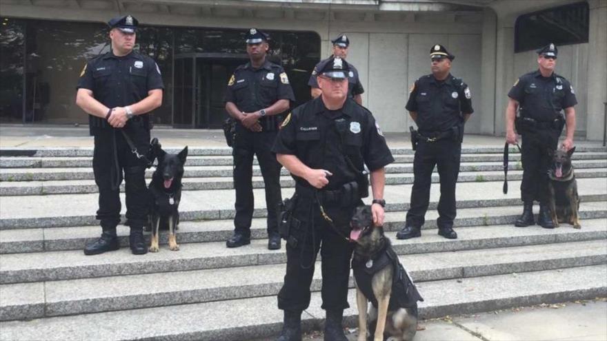Vídeo: Policía manda a perro a “atacar” a negro arrodillado en EEUU
