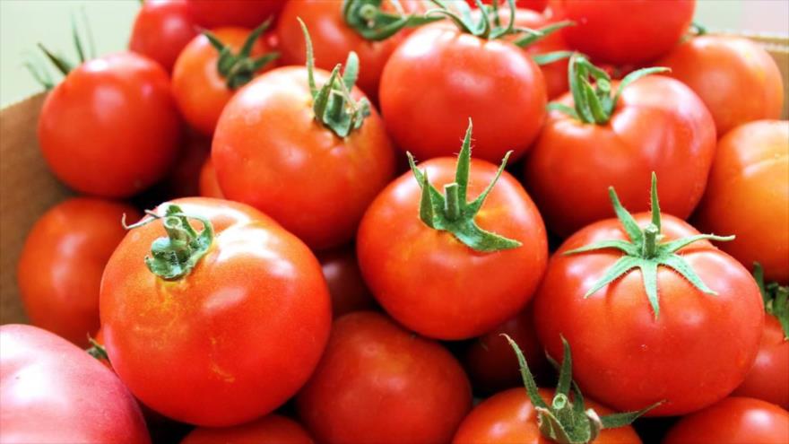 ¿Por qué el consumo de tomate es peligroso para algunas personas? | HISPANTV