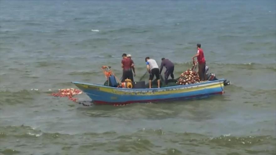 Israel bloquea acceso al mar a los pescadores palestinos