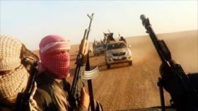 ONU: Más de 10 000 elementos de Daesh operan en Irak y Siria