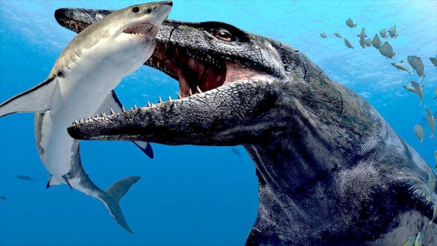 Una imagen representativa del pliosaurio, reptil acuático considerado el depredador más mortífero del período Jurásico.

