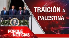 El Porqué de las Noticias: Traición a Palestina. Crisis de los refugiados. Perdón de las FARC