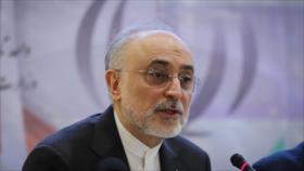 Irán: La AIEA no pedirá más acceso a las actividades nucleares