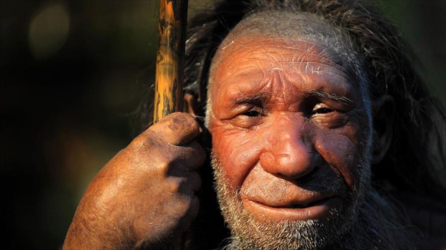 Un estudio revela que los infectados por el nuevo coronavirus que tienen el ADN de Neandertal, son más susceptibles de sufrir complicaciones graves.