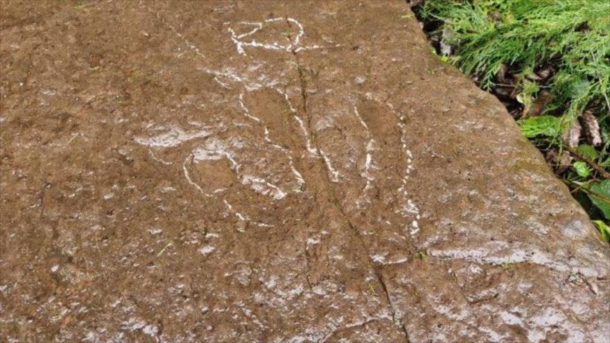 Descubren en China huellas de dinosaurio de 130 millones de años | HISPANTV