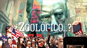 Detrás de la Razón: Antifascistas protestan, el presidente estadounidense les llama animales