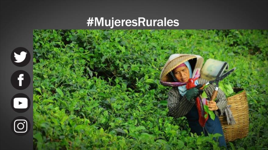 Etiquetaje: Mujeres rurales