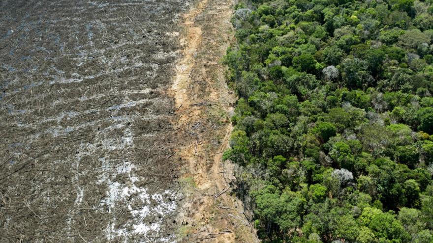 EEUU, cómplice en abuso a indígenas y deforestación de la Amazonía | HISPANTV