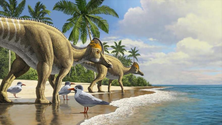 Estudio revela: Dinosaurios cruzaron el océano para llegar a África | HISPANTV