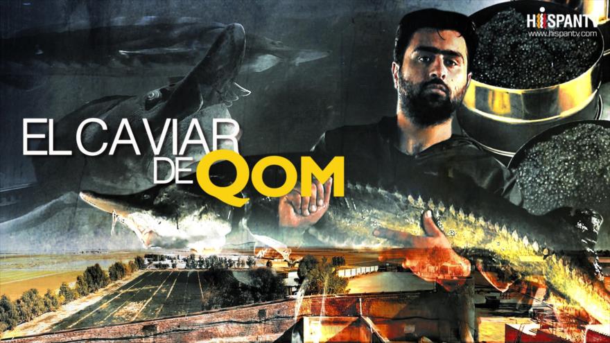 El caviar de Qom