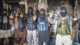 Historia falsa sobre el asesinato del número 2 de Al-Qaeda en Irán