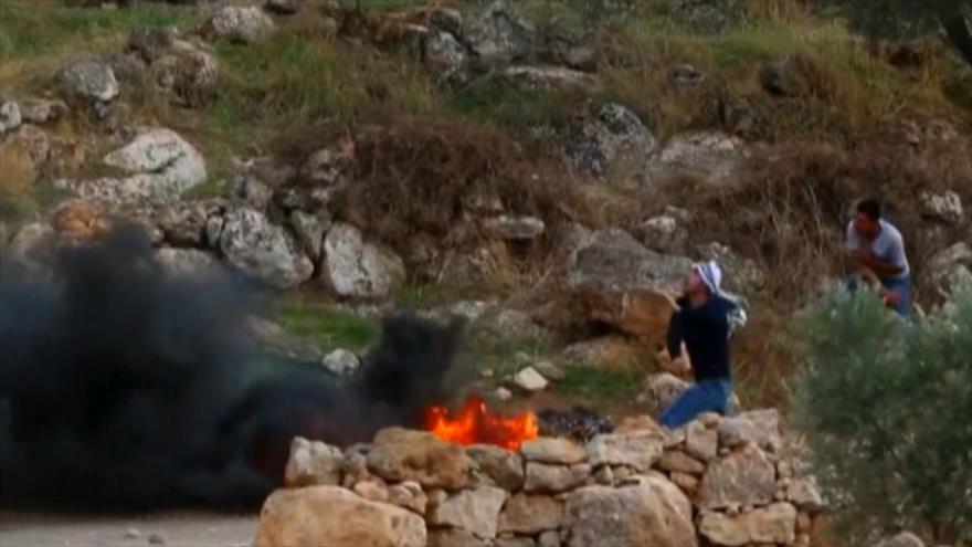 Israel reprime violentemente protesta palestina contra colonias | HISPANTV