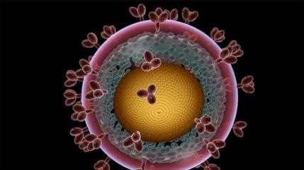 Científicos logran nuevo avance en busca de una vacuna para el VIH