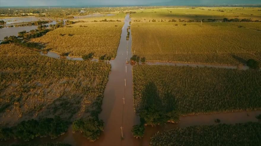 Hondureños sufren abandono en albergues y campo tras huracanes