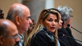Bolivia acusa a Áñez de aumento de cultivos de coca durante su mandato