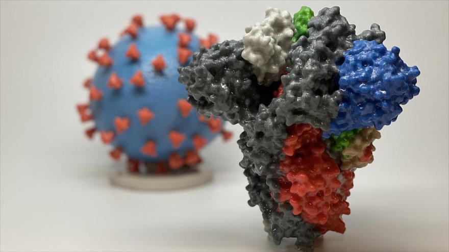 Conozcan características temibles del nuevo coronavirus británico | HISPANTV