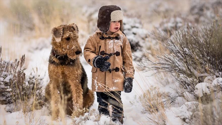 Vídeo: Un perro salva a un niño del ataque de un lobo en Rusia