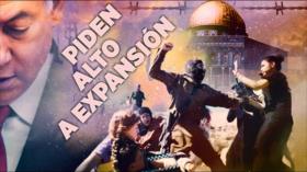 Detrás de la Razón: Autoridad palestina pide al mundo detener los ilegales asentamientos israelíes